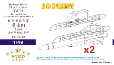 1/48 PLAAF YJ-91 Anti-Radiation Cruise Missile w/Pylons (2 pcs)