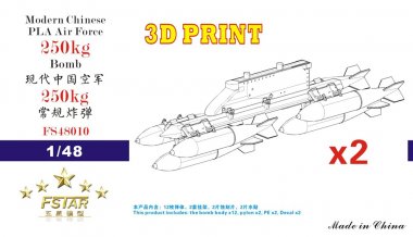 1/48 PLAAF 250kg Bomb with Pylons (2 pcs)