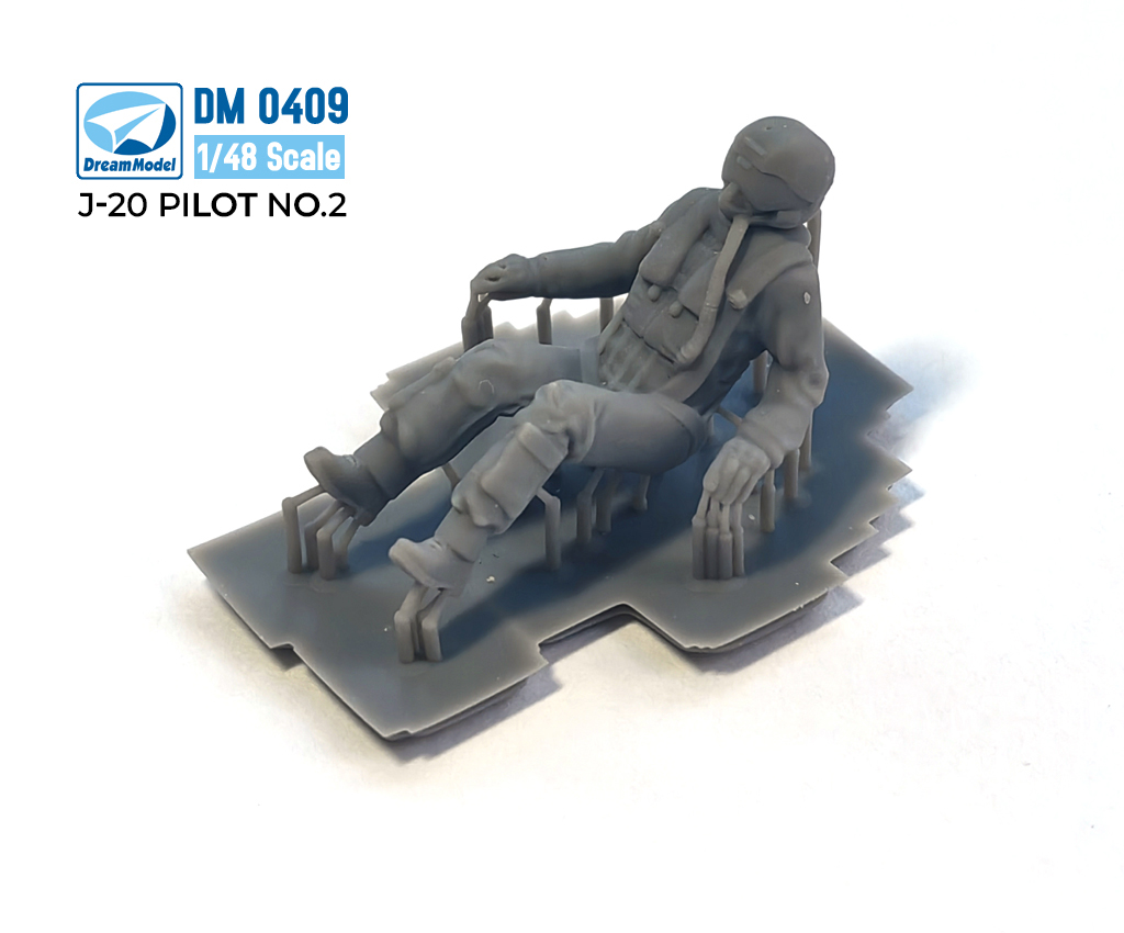 1/48 J-20 Pilot - Click Image to Close