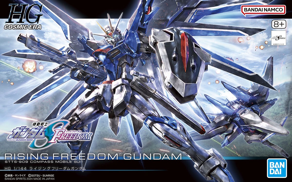 HGCE 1/144 STTS-909 Rising Freedom Gundam - Click Image to Close