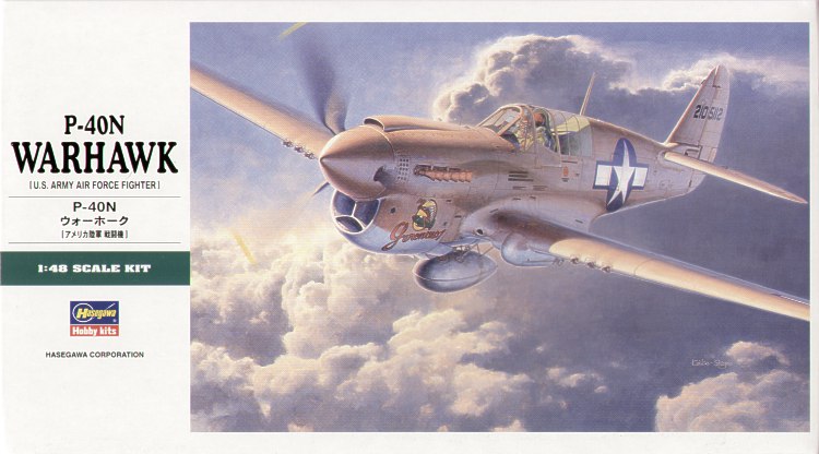 1/48 P-40N Warhawk "US Army Air Force Fighter" - Click Image to Close