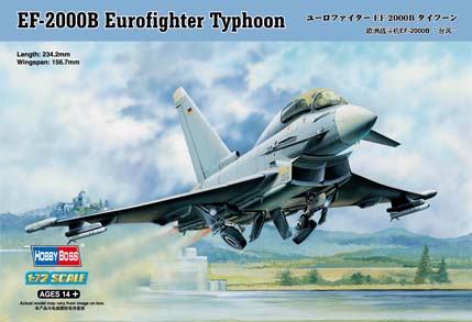 1/72 EF-2000B Eurofighter Typhoon - Click Image to Close