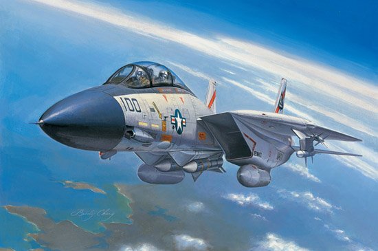 1/72 F-14A Tomcat - Click Image to Close