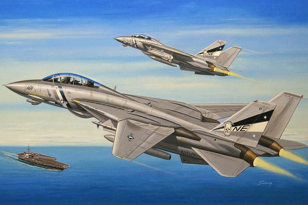 1/72 F-14D Super Tomcat - Click Image to Close