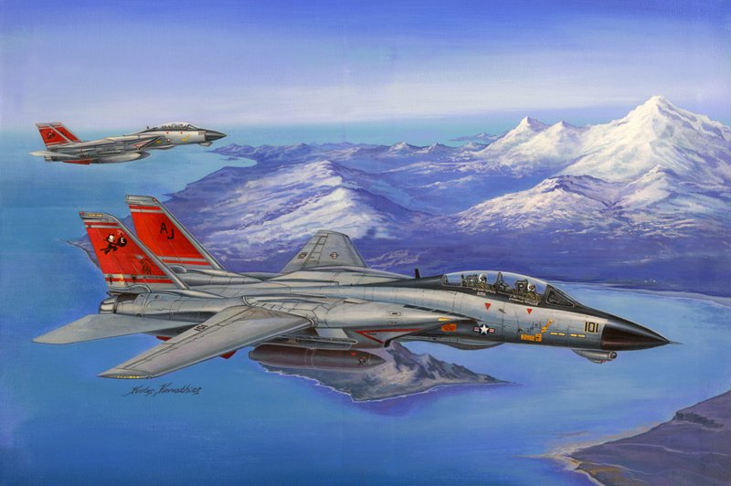 1/48 F-14D Super Tomcat - Click Image to Close