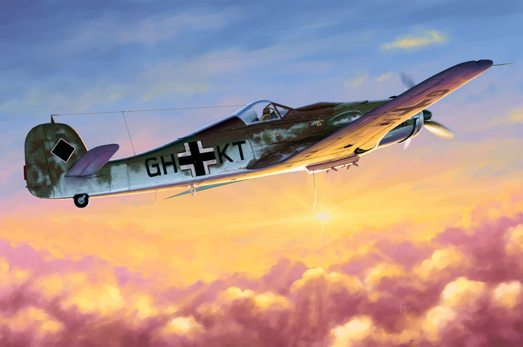 1/48 Focke-Wulf Fw190D-10 - Click Image to Close