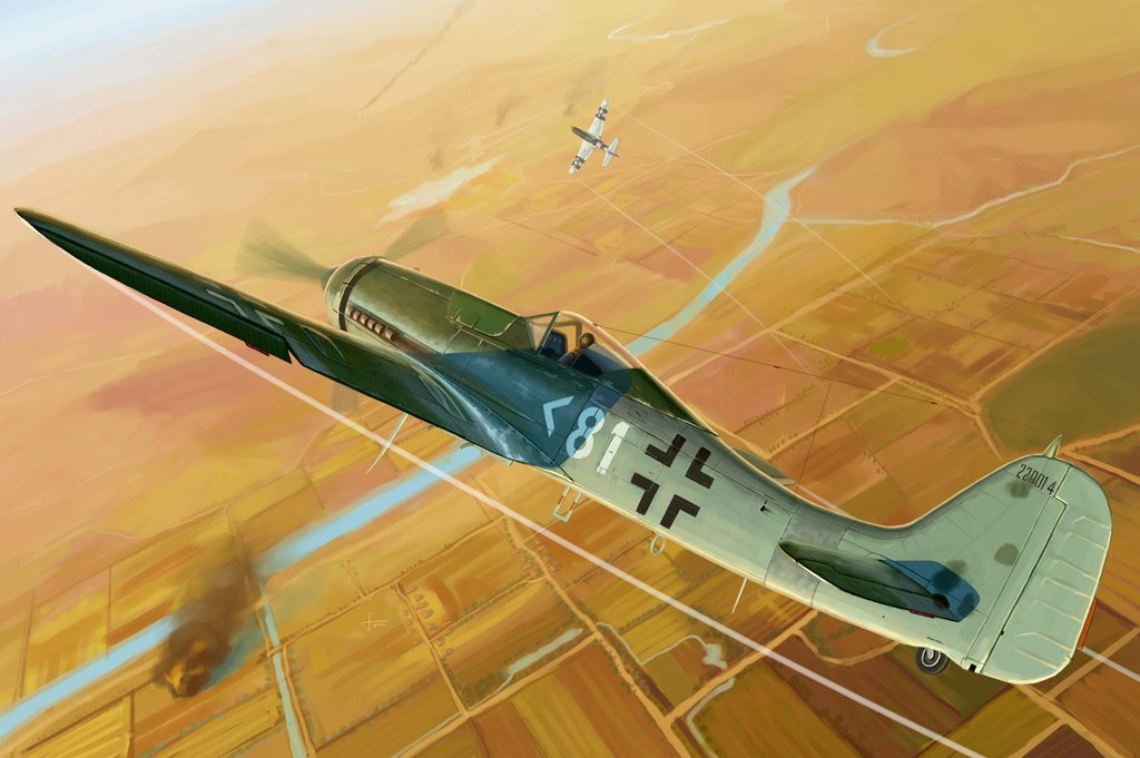 1/48 Focke-Wulf Fw190D-11 - Click Image to Close