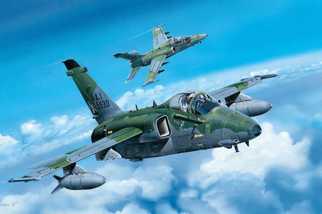 1/48 A-1A Ground Attack Aircraft - Click Image to Close