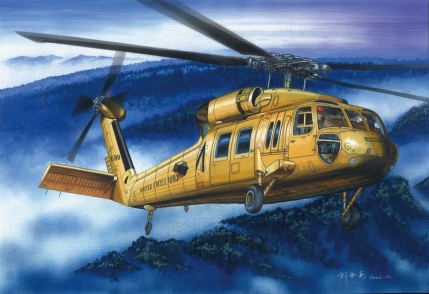 1/72 UH-60A Blackhawk - Click Image to Close