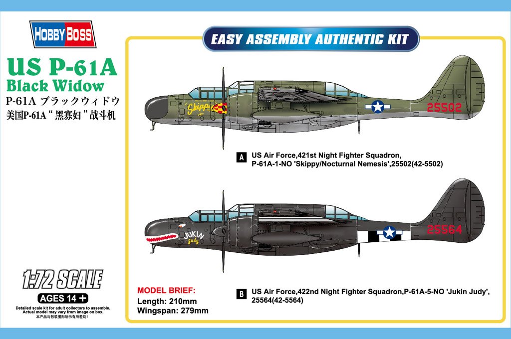 1/72 US P-61A Black Widow - Click Image to Close