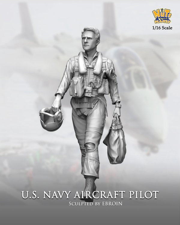 1/16 US Navy Aircraft Pilot - Click Image to Close