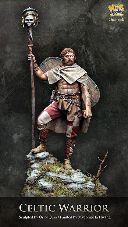 1/24 Celtic Warrior - Click Image to Close