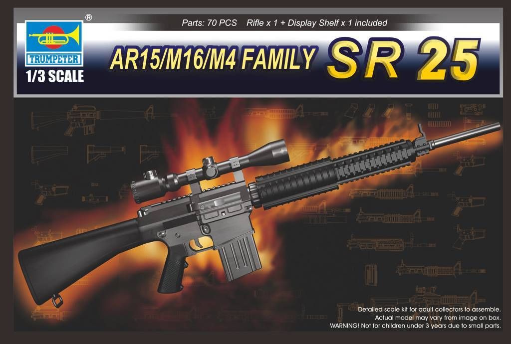 1/3 SR25 - Click Image to Close