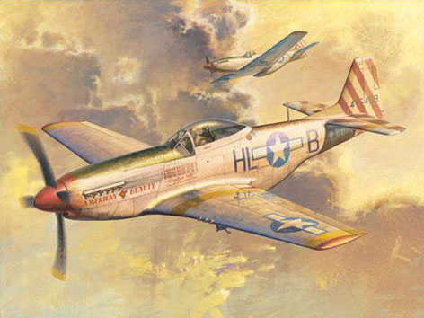 1/32 P-51D Mustang - Click Image to Close