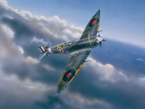 1/24 Spitfire Mk.VI - Click Image to Close