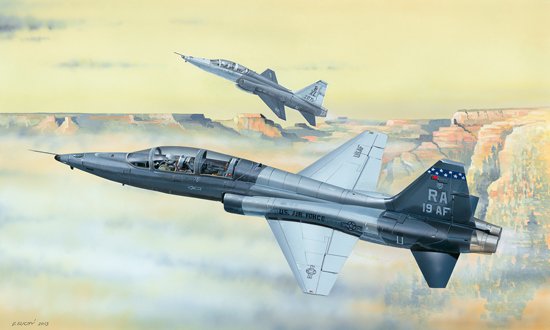 1/48 T-38C Talon - Click Image to Close